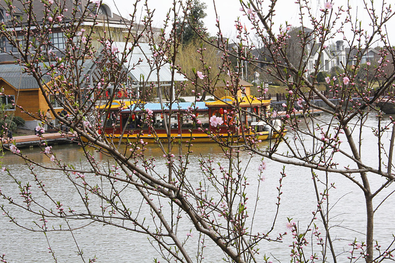 春天4.jpg 春天4.jpg